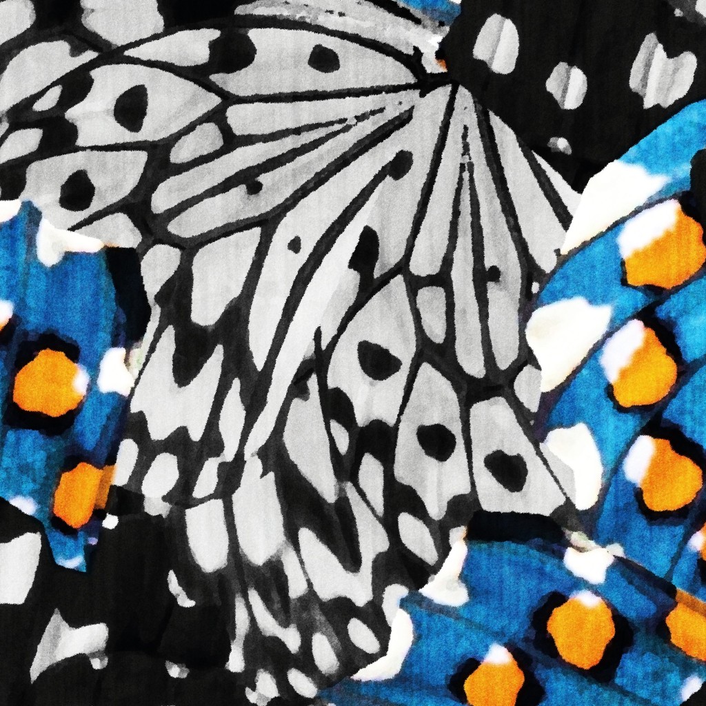 Design image for design ID 14725033